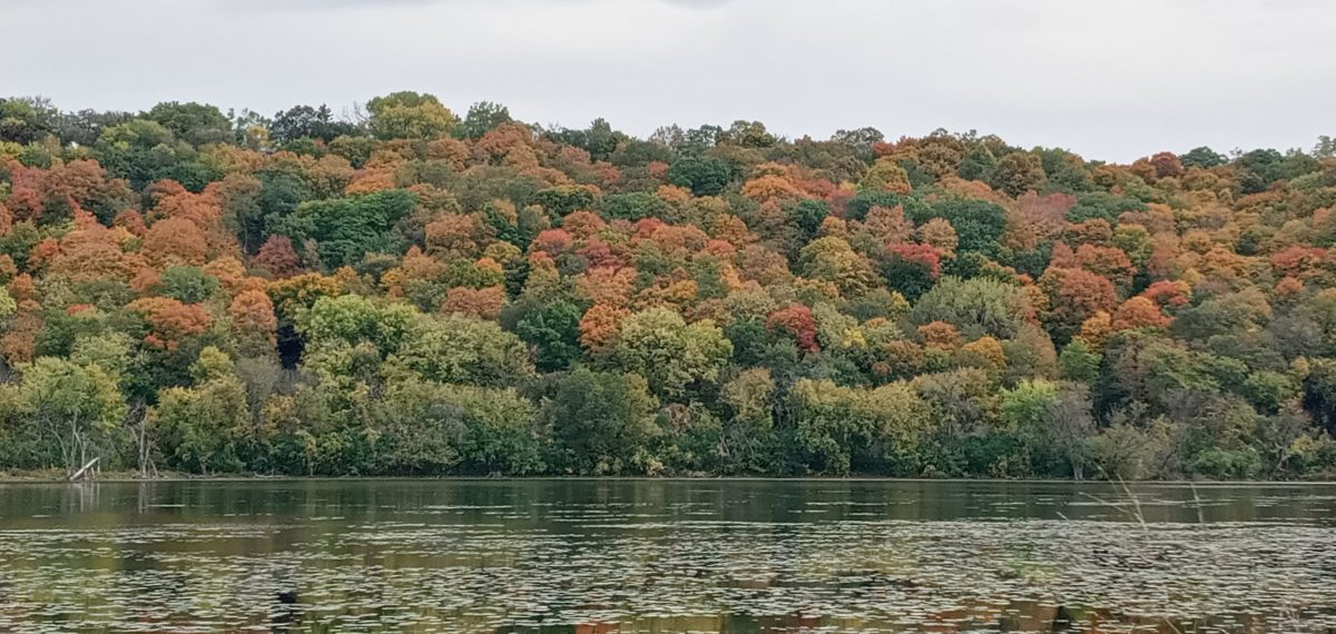 photo of Minnesota river in fall