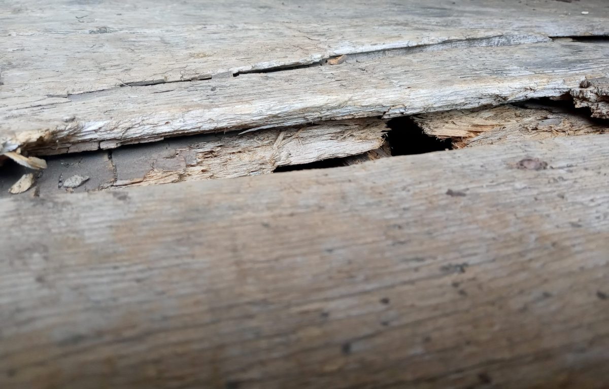photo of barn floor at Jab's Farm in Louisville Swamp park