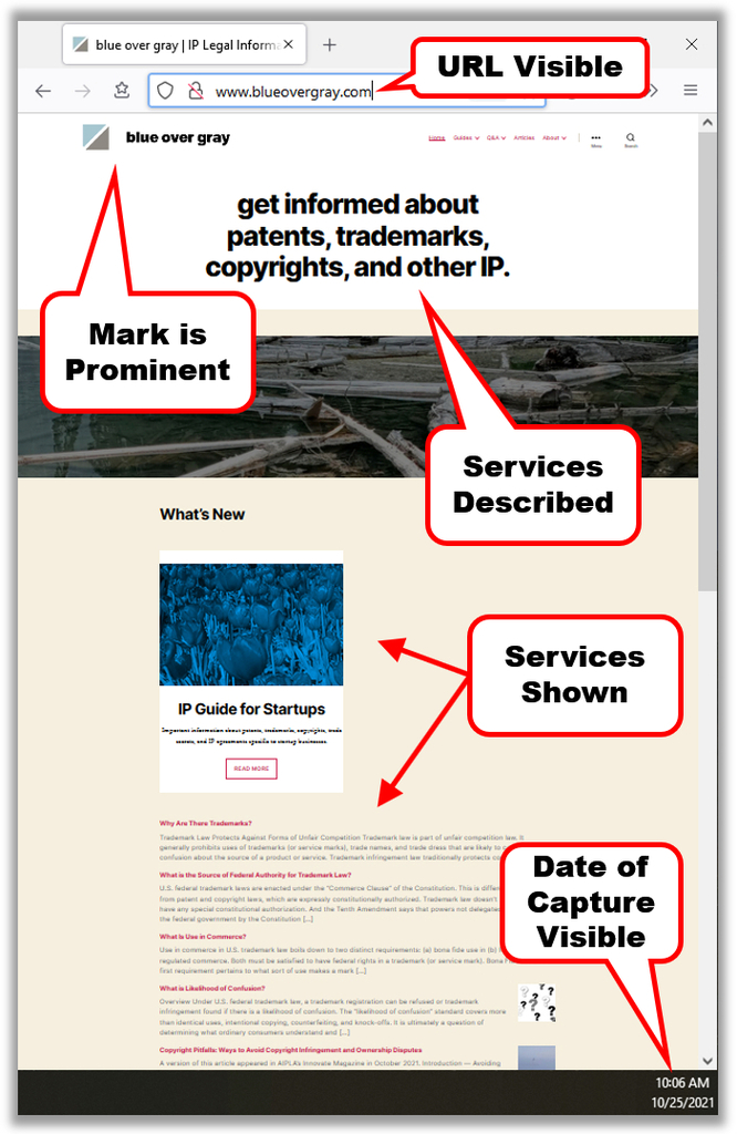 annotated web site screenshot specimen