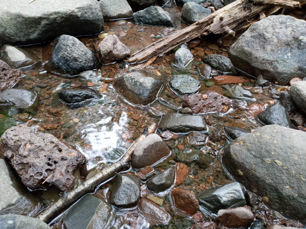 photo of rocky creek bed