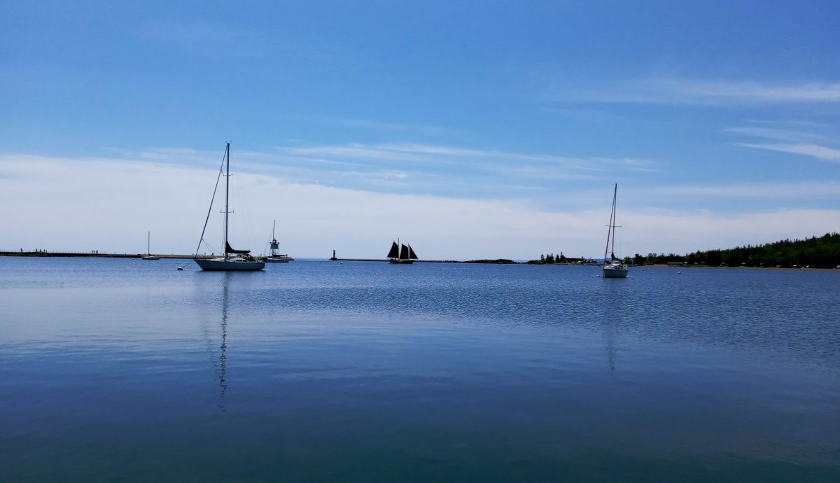 photo of sailboats in harbor