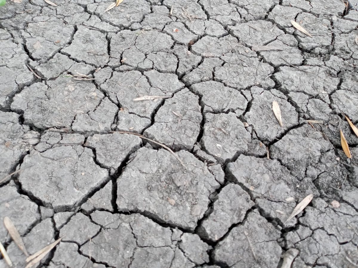 photo of parched ground