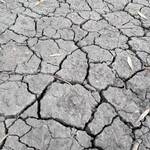 photo of parched ground