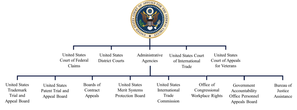 tree graphic illustrating Federal Circuit jurisdiction