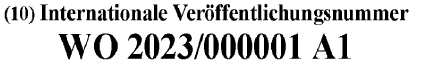 Example publication number for PCT international publication number WO 2023/000001 A1, published in German