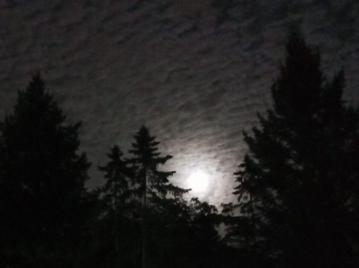 photo of moon in cloudy sky