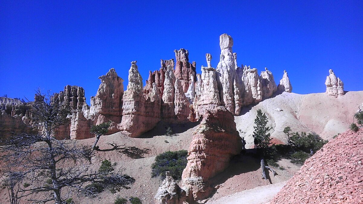 Hodoos in Bryce Canyon, Utah